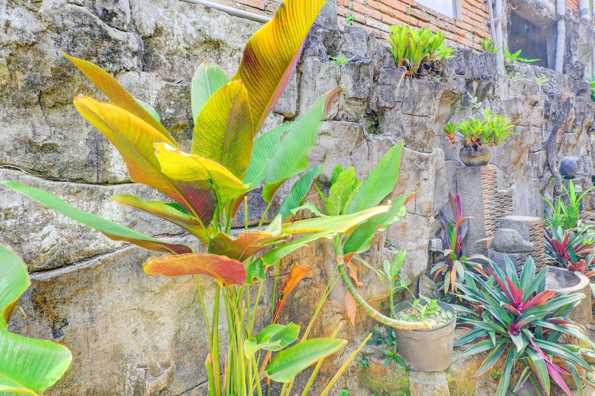 Hotel O Ubud Asri Homestay Near Monkey Forest Ngoại thất bức ảnh